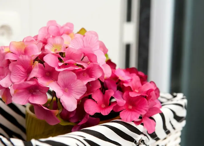 U Srcu Grada - Ilicev Prolaz * ספליט