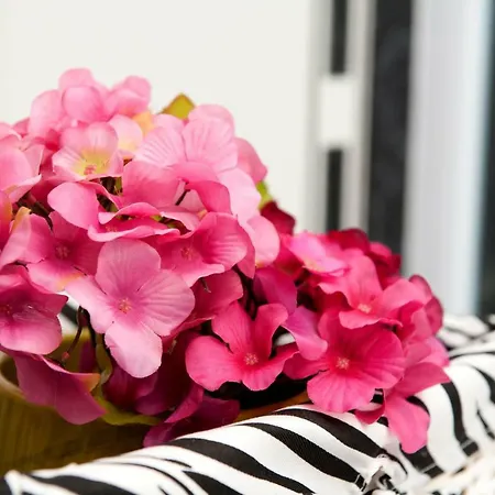 U Srcu Grada - Ilicev Prolaz * Split