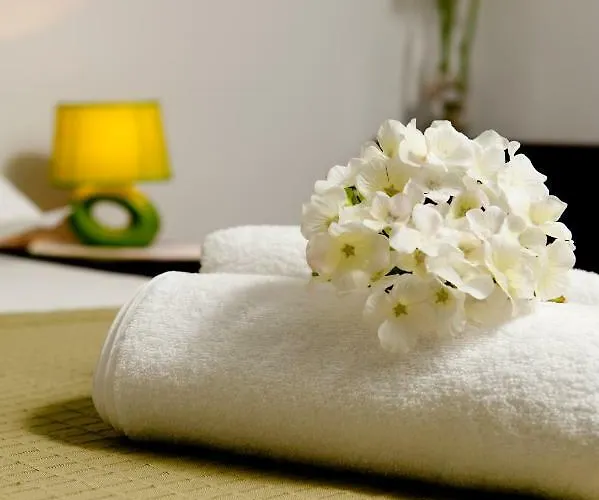 Apartment U Srcu Grada - Ilicev Prolaz *